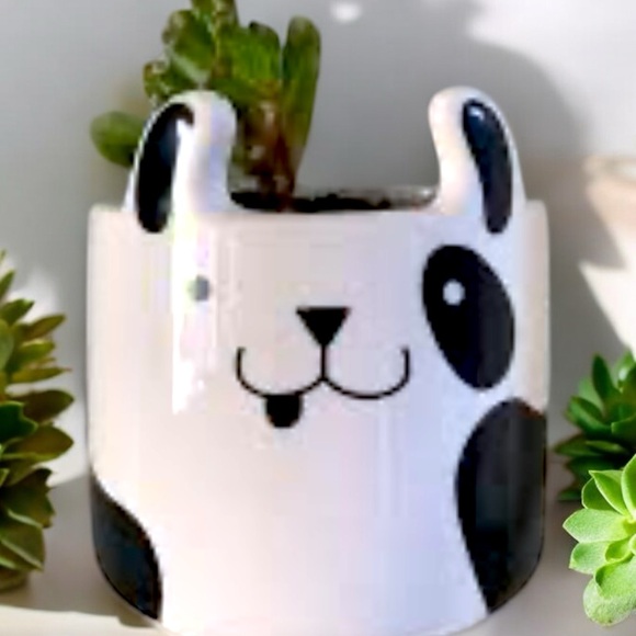 Adorable Porcelain Black & White Puppy Herb/Succulent planter By HORIZON GROUP - Picture 1 of 8